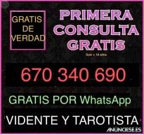 Vidente gratis tarotista por WhatsApp primera consulta